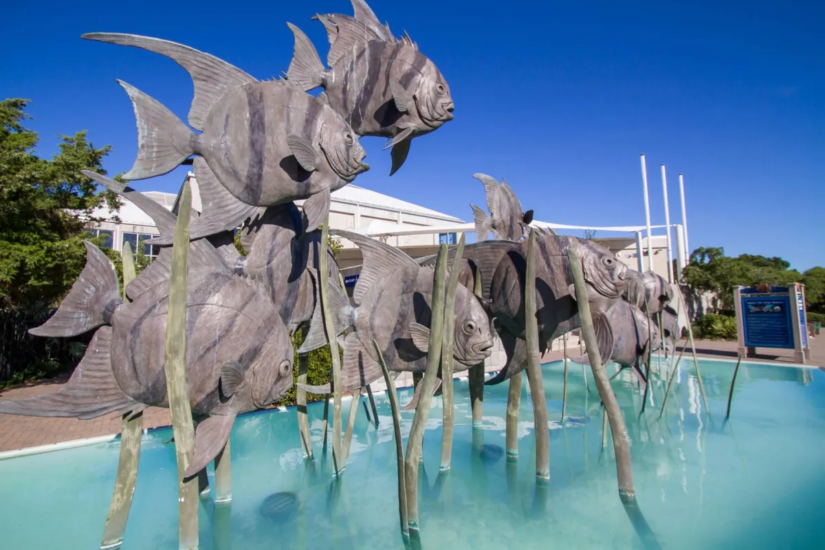 A whimsical outdoor setting featuring large, playful fish sculptures on a water surface, surrounded by green reeds. The scene hints at public art or unique local attractions, perfect for leisure walks or photography.